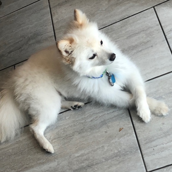 Meet your Posher, Irene - Picture 3 of 4